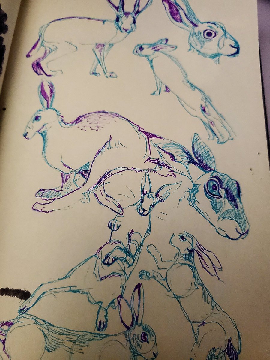 coldpups's tweet image. Day 3 of #cryptober , Jackalope!! Loved having the chance to do hare studies, they're such shapey and sharp lil guys