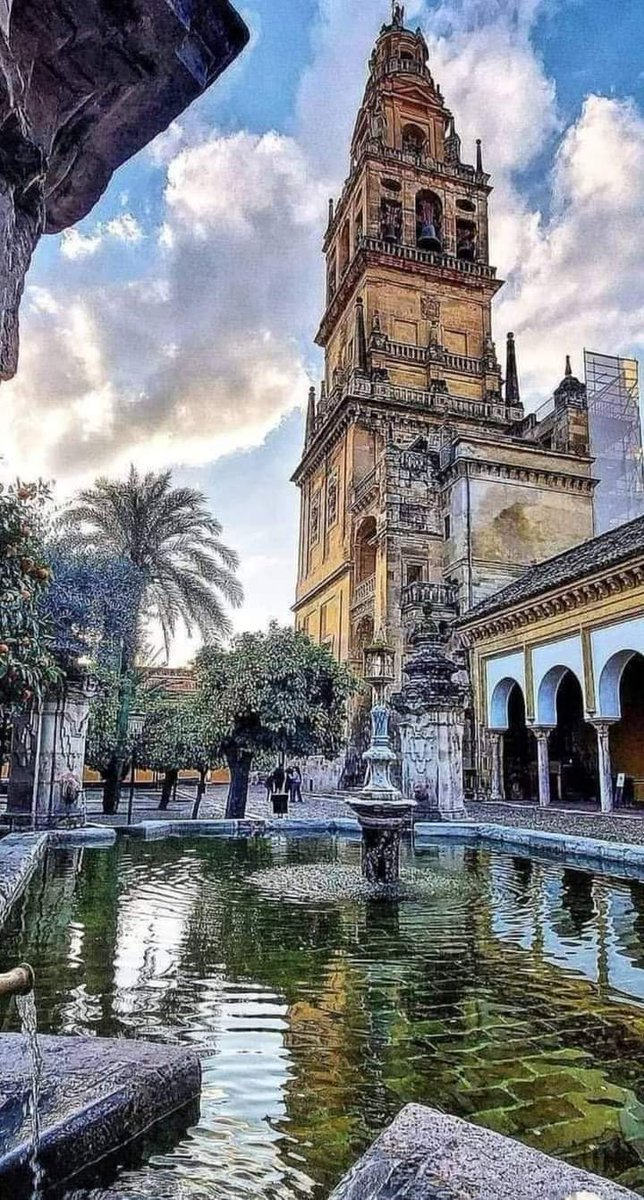 😍 Abre la foto y termina de enamorarte...

#CórdobaEsp