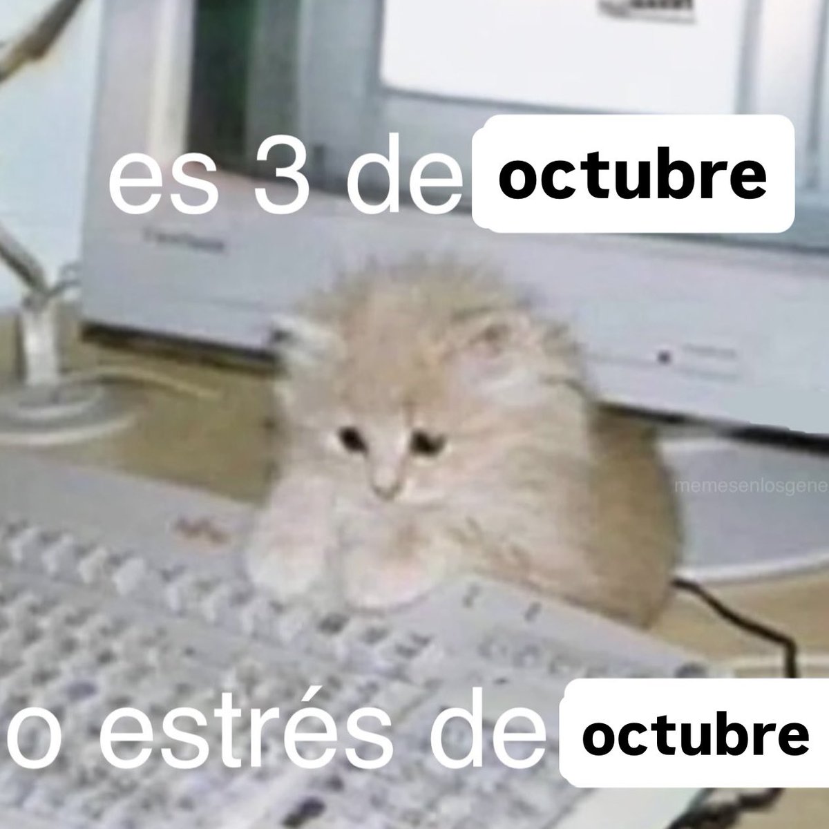 memesenlosgenes (@memesenlosgenes) on Twitter photo 