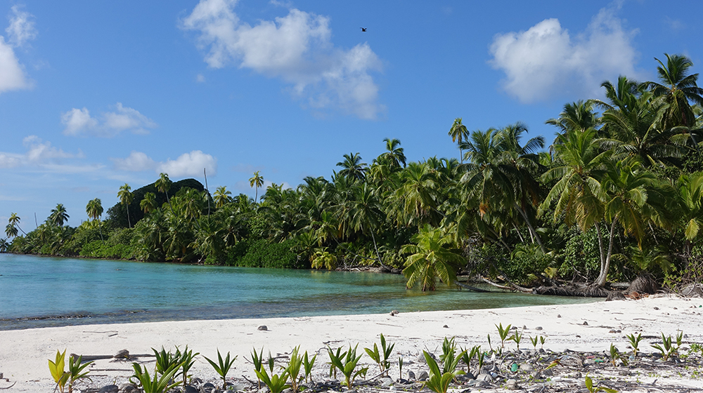 ZSL (@officialzsl) on Twitter photo ZSL response to the sovereignty changes over the Chagos Archipelago:
ZSL's CEO <a href="/matthewsgould/">Matthew Gould</a> : βIt is good news that an agreement on the sovereignty of the Chagos Archipelago has been reached. Todayβs announcement will mean a new partnership can work together to protect this ZSL response to the sovereignty changes over the Chagos Archipelago:
ZSL's CEO <a href="/matthewsgould/">Matthew Gould</a> : βIt is good news that an agreement on the sovereignty of the Chagos Archipelago has been reached. Todayβs announcement will mean a new partnership can work together to protect this