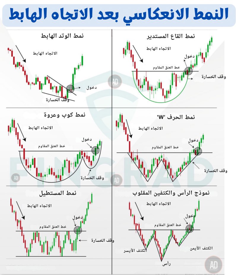 PPEOJ's tweet photo. بالعربي
@Baronkk9 Cc