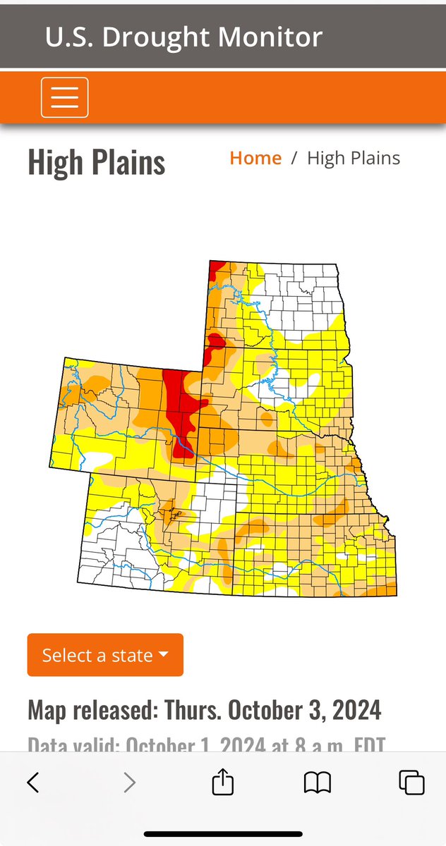 WheatInnovation's tweet photo. No drop of rain in 5 weeks and we are in drought again after a wet summer but staying positive!
Winter wheat trials and planted around Brookings, SD have still come up π β€οΈπΎπ§οΈπ @wheatsd @SDState #NoTillWorks #TeamWheat https://t.co/sNAbeBPoO5