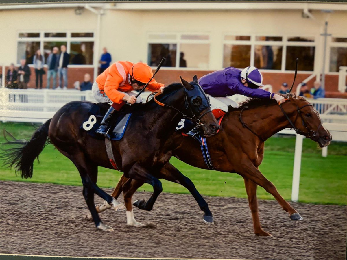 HarratonCourt's tweet photo. Karl Carlston wins today at Chelmsford!!! Well done to owners @amoracingltd trainer #DarryllHolland jockey David Egan plus all connections! Winner number 21 for Darryll Season 2024 #winner https://t.co/XiMumuIUG7