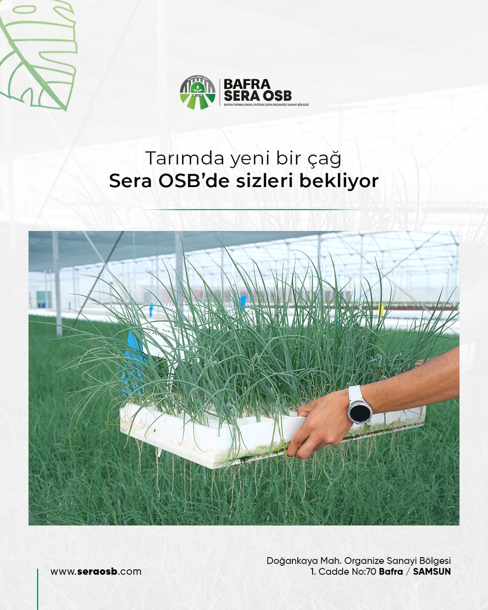 BafraSeraOTB's tweet photo. 🔰Tarımda yeni bir çağ Sera OSB'de sizleri bekliyor!

📞0362 577 75 55
🌐 https://t.co/Mc05wOqH3N

#BafraSeraOSB #SeraOSB #Bafra #Samsun #sera #BafraOsb #seracılık #topraksıztarım #sürdürülebilirlik https://t.co/24KaZAzsiu