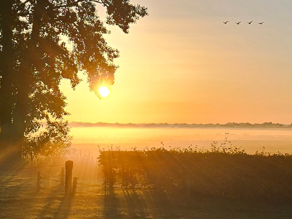 Wim-Henk Peggeman (@peggeman) on Twitter photo 