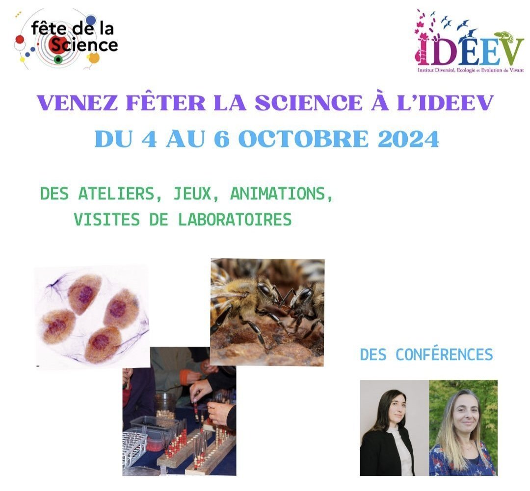 IDEEV_lab (@ideevl) on Twitter photo ✅️ La #FDS2024 commence demain à <a href="/IdeevL/">IDEEV_lab</a> et au village des sciences de @ensparissaclay !
Reservée aux scolaires le 4/10. Public, venez nombreux découvrir nos ateliers, laboratoires, conférences
➡️ Samedi 5 et dimanche 6 octobre
ideev.universite-paris-saclay.fr/news/2024/09/l…
<a href="/UnivParisSaclay/">Université Paris-Saclay</a> ✅️ La #FDS2024 commence demain à <a href="/IdeevL/">IDEEV_lab</a> et au village des sciences de @ensparissaclay !
Reservée aux scolaires le 4/10. Public, venez nombreux découvrir nos ateliers, laboratoires, conférences
➡️ Samedi 5 et dimanche 6 octobre
ideev.universite-paris-saclay.fr/news/2024/09/l…
<a href="/UnivParisSaclay/">Université Paris-Saclay</a>