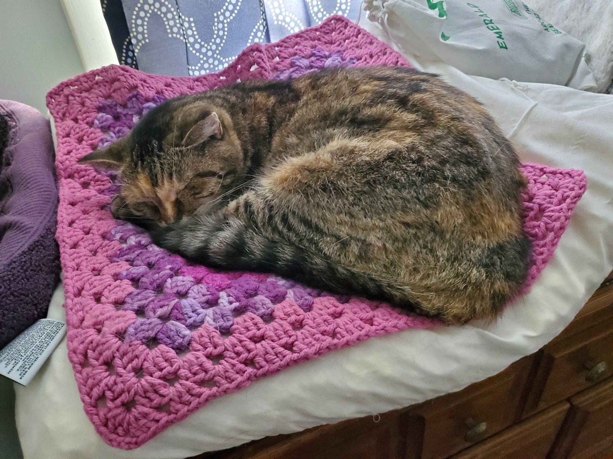 Coxymelody 🐞🎶 tweet media