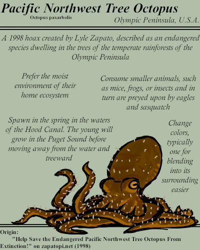 BriefBestiary's tweet photo. A test of media literacy to some, the story of dwindling population of Washington's tree octopuses is likely one of Lyle Zapato's most famous works. Quite dexterous, these semi-aquatic cephalopods are described as well suited to their treetop homes, swinging between branches. https://t.co/krY6v1Ma7J