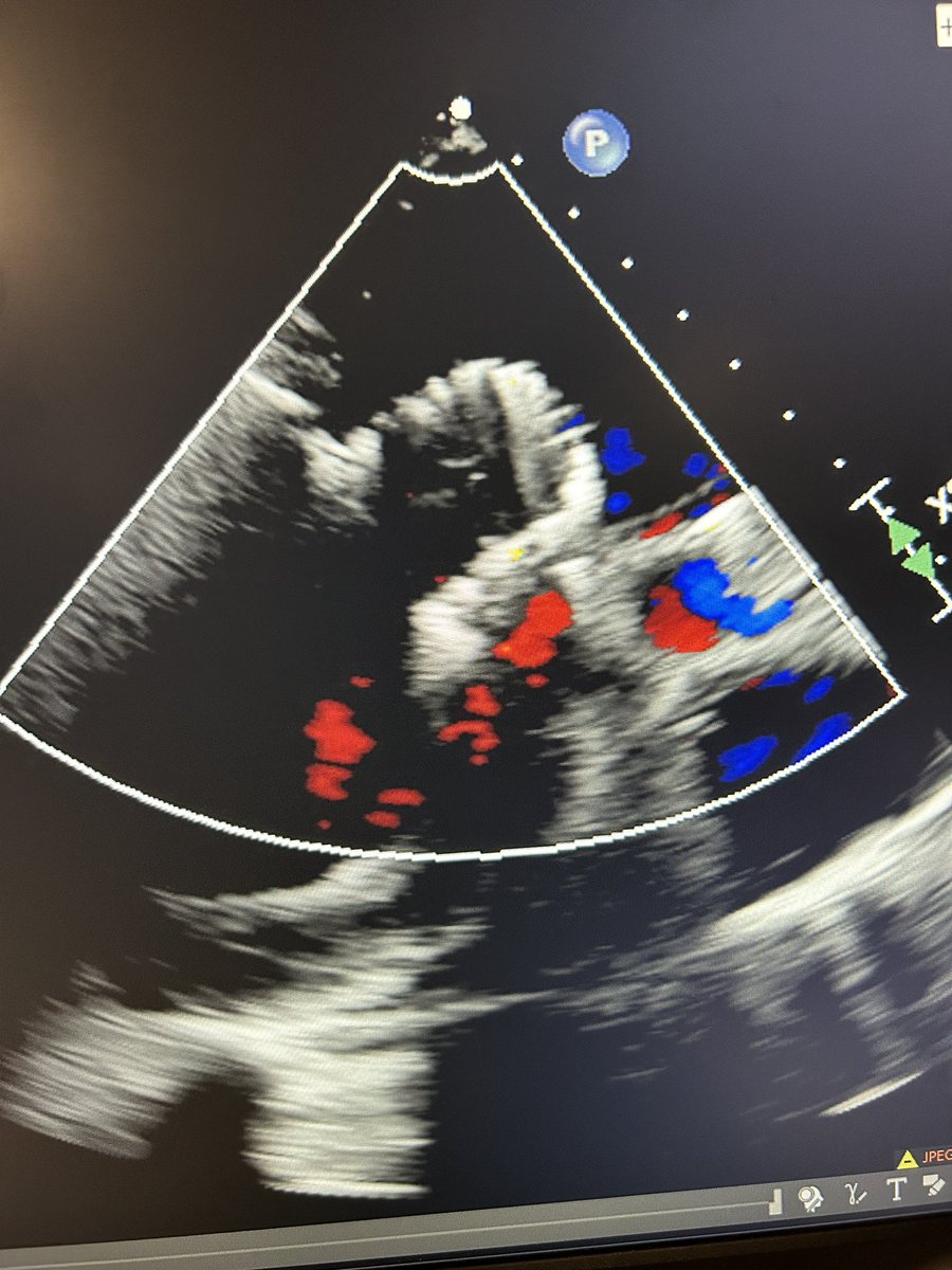 Gui Attizzani tweet media