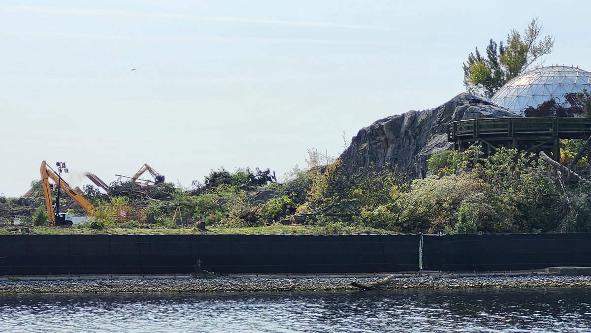 This is the destruction of the 800+ trees at Ontario Place that <a href="/ThermeCanada/">Ontario Place for Everyone</a> and <a href="/fordnation/">Doug Ford</a> don't want you to see. It's happening right now.