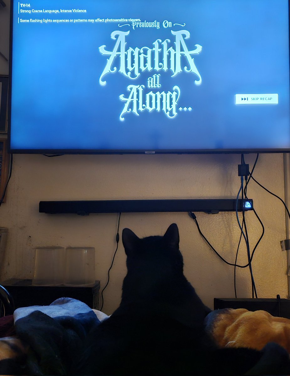 Calvin loves #AgathaAllAlong #DisneyPlus #Marvel