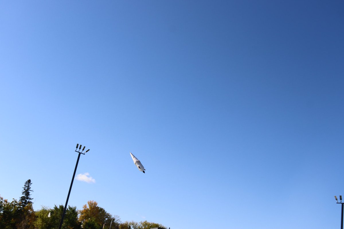 George Pearce tweet media