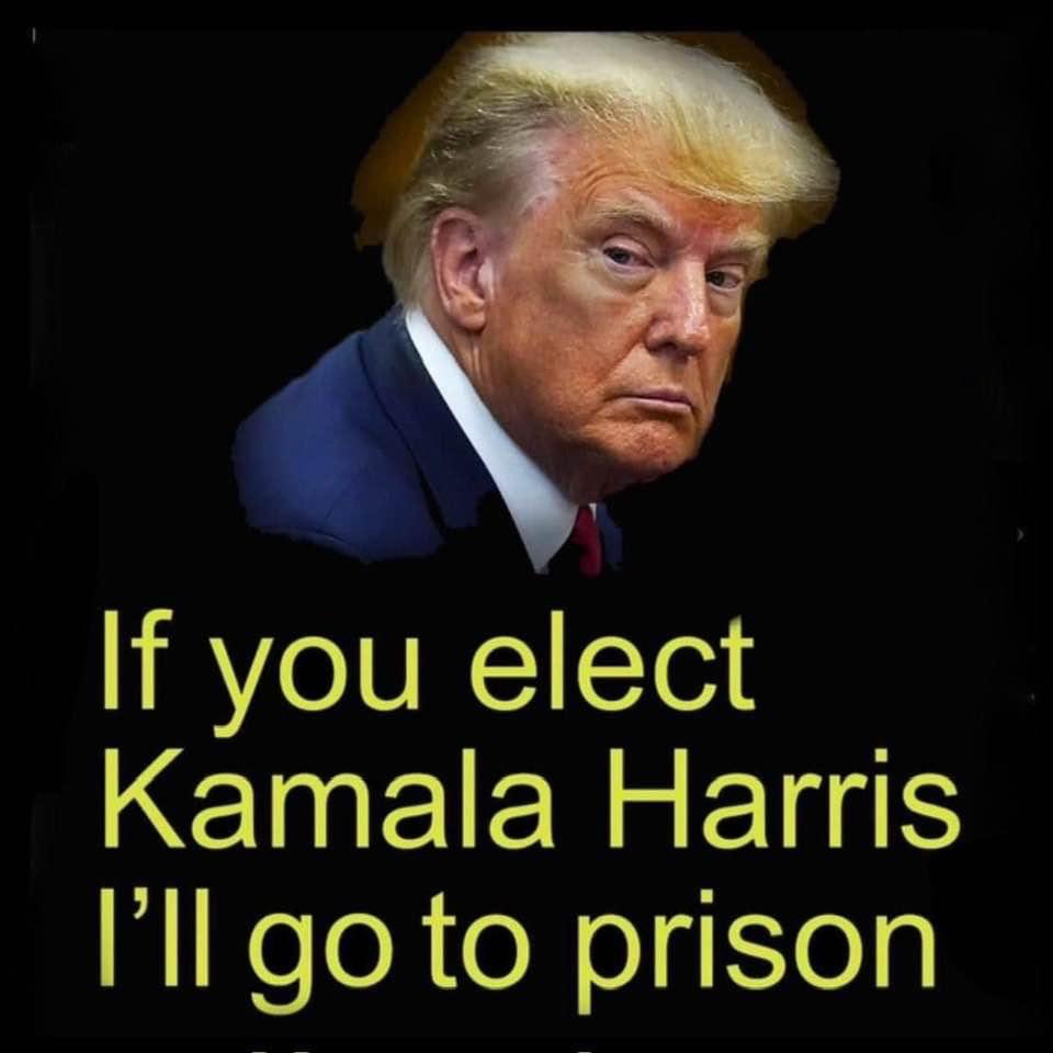 Jack Smith's 165-page court filing details the worst crimes committed by any US President in history. Telling VP Pence: "You're too honest" is a jaw-dropping moment, showing he knows what he's doing is completely dishonest.
Read it for yourself, here:  rb.gy/ro1510
