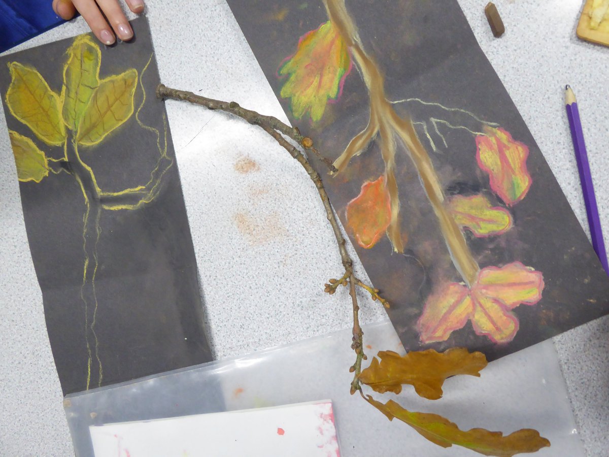 sharon snaylam tweet media