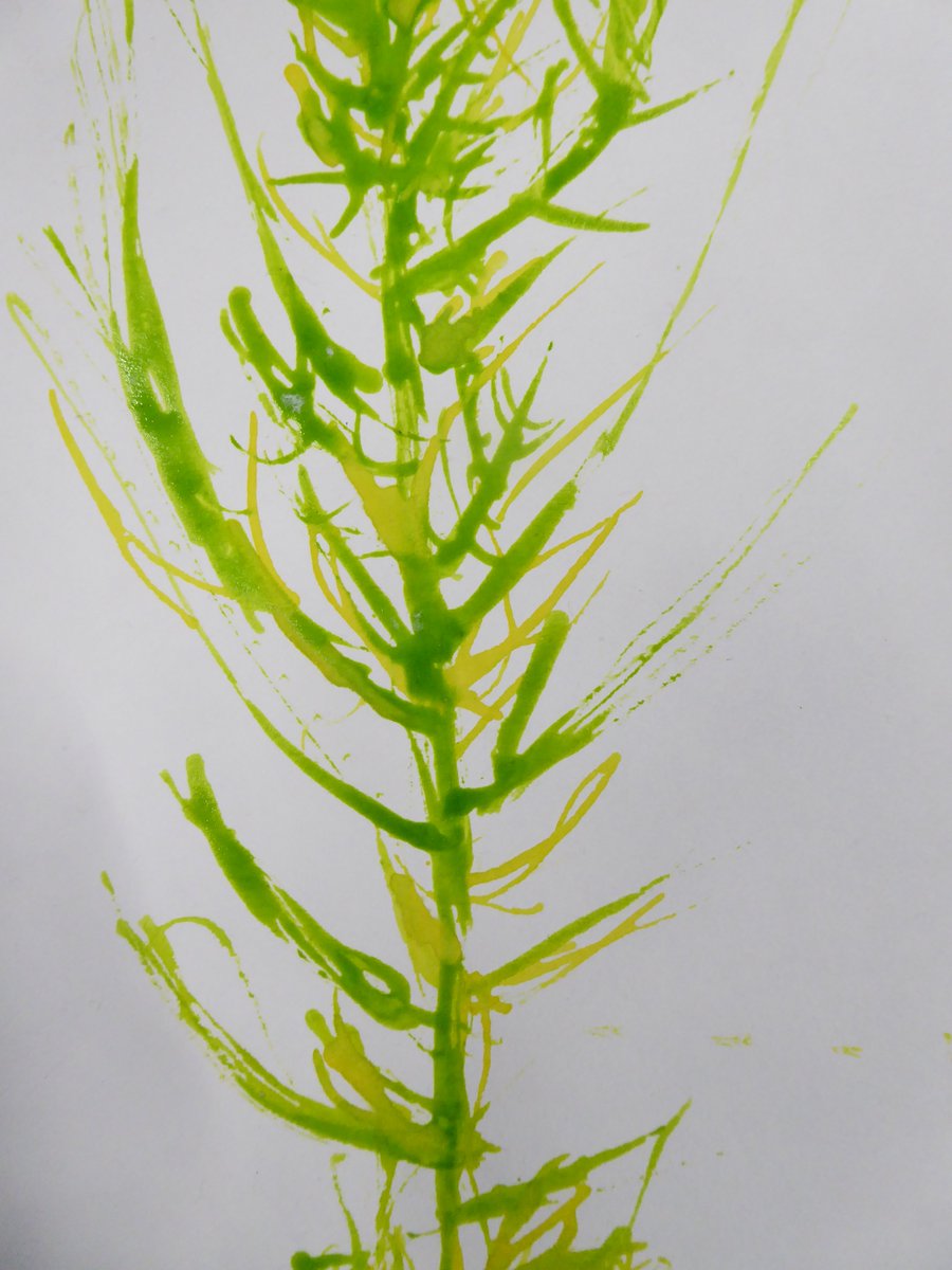 sharon snaylam tweet media