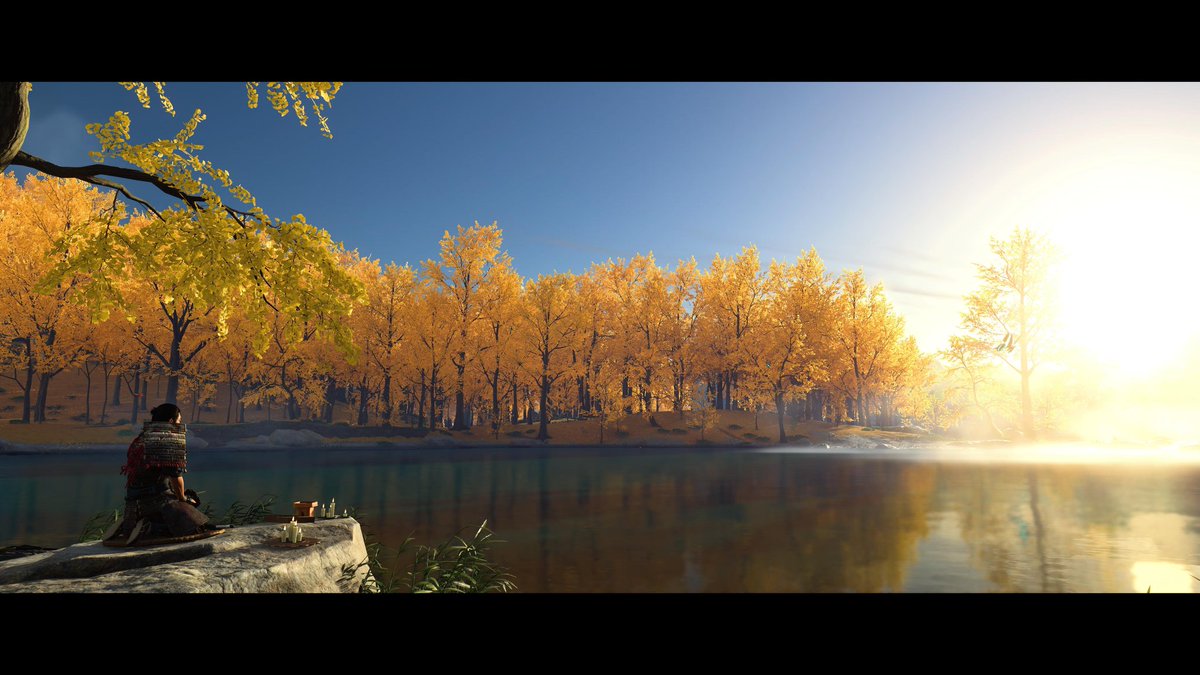 Simon Cardy tweet media