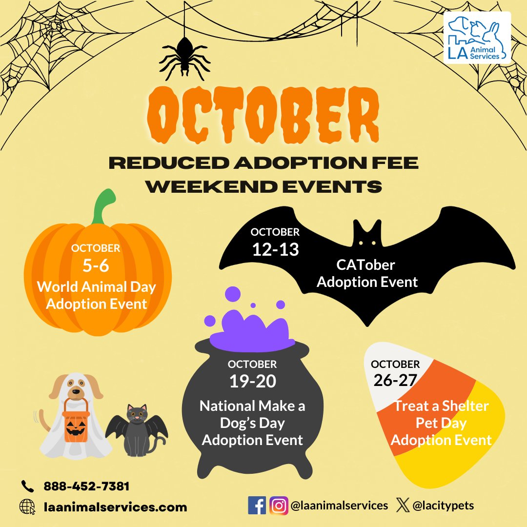 If you're looking to add a pet to your family, LA Animal Services is offering reduced adoption fees for dogs, puppies, cats, &amp; kittens throughout the month of October! 🧡 Visit any of our six Centers to meet your new best friend! #AdoptaShelterDogMonth #lacitypets #adopt #foster