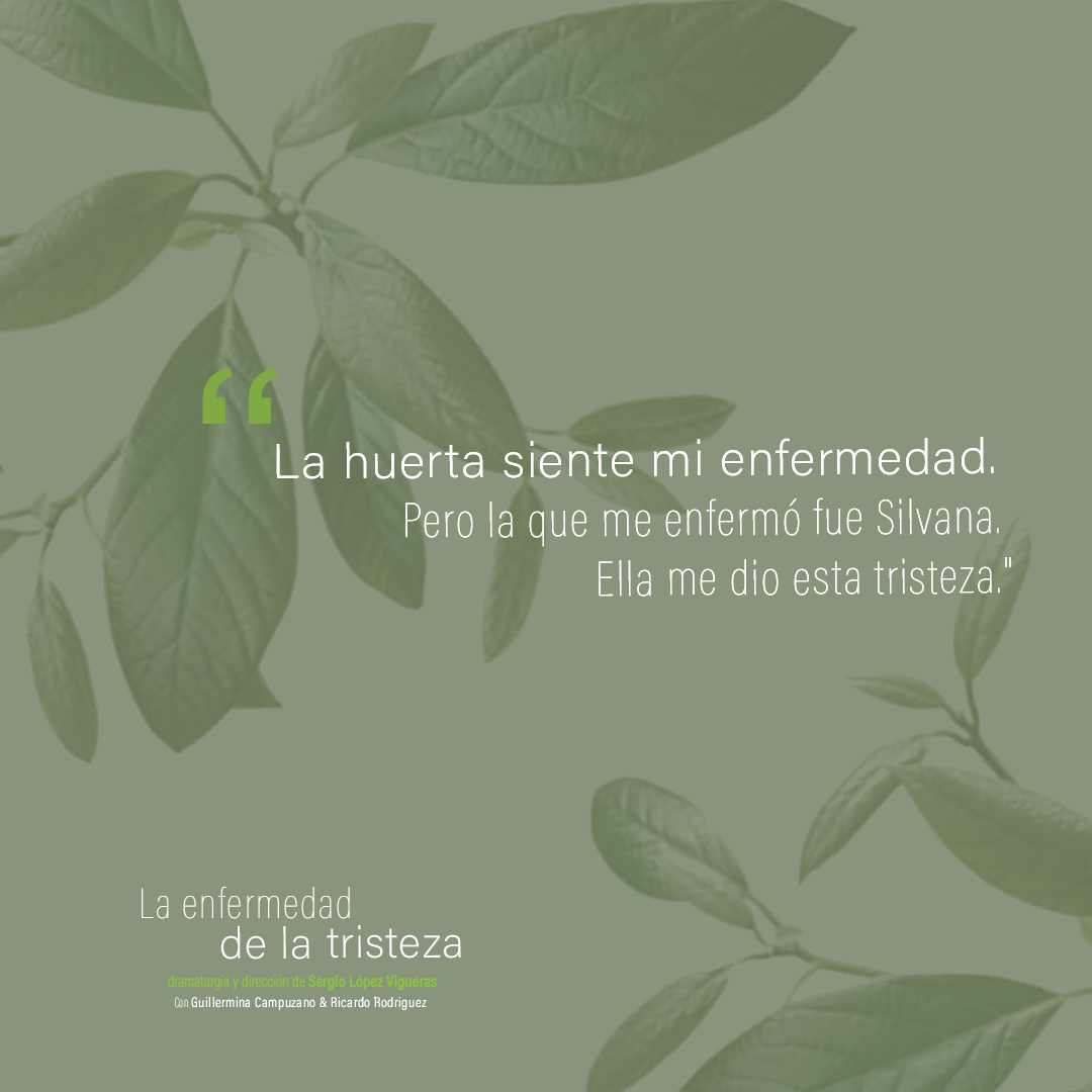 Los Bocanegra tweet media