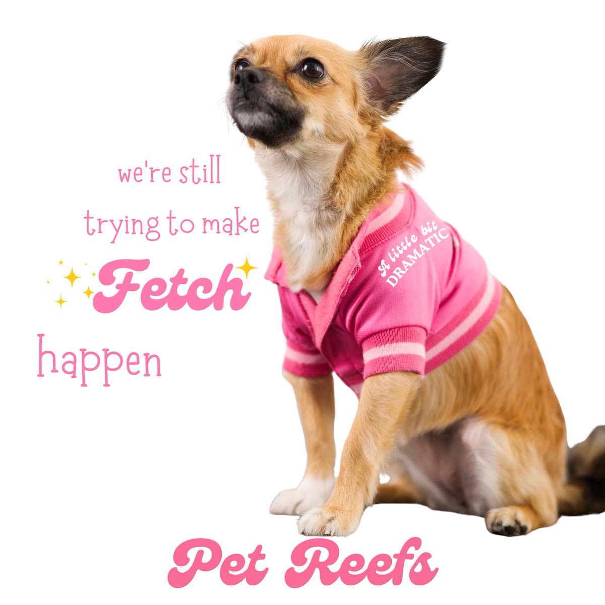 Happy October 3rd! ✨ #MeanGirlsDay #PetReefs