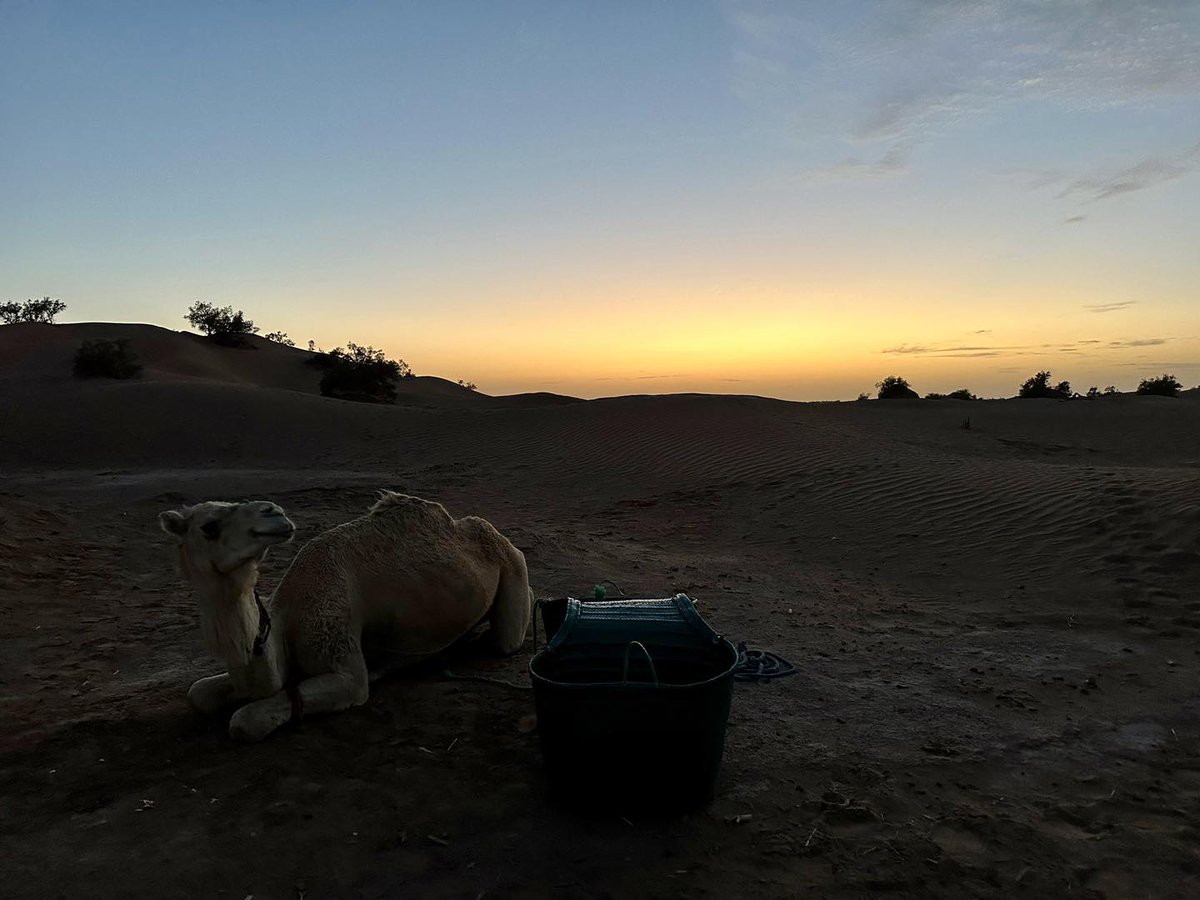 Shonaleigh tweet media