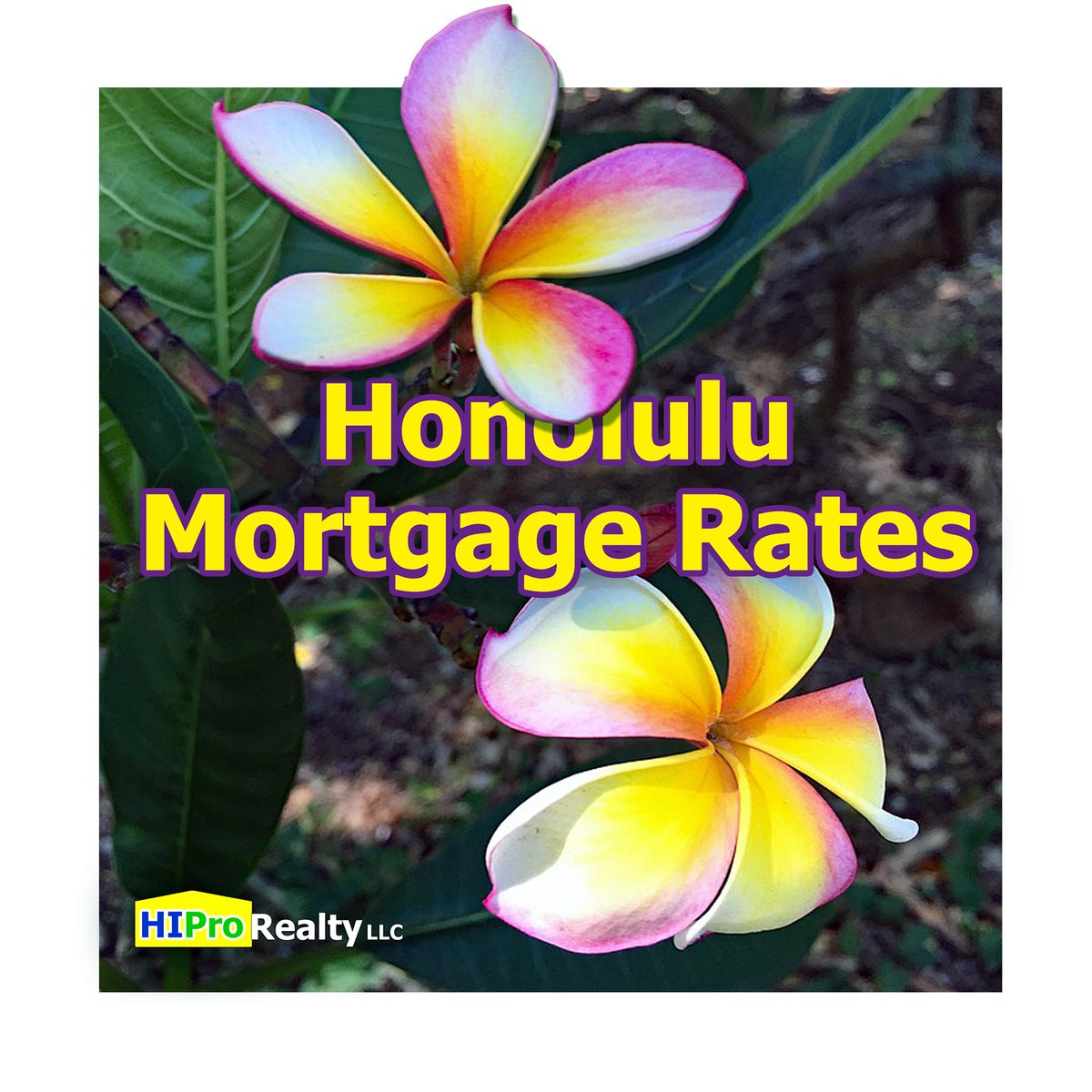 HIProRealty's tweet photo. Honolulu Mortgage Rates - October 2024
#Honolulu #Oahu #Hawaii #HIProRealty
https://t.co/oZ4IeV9xg1 https://t.co/GHeLiv2Bxp