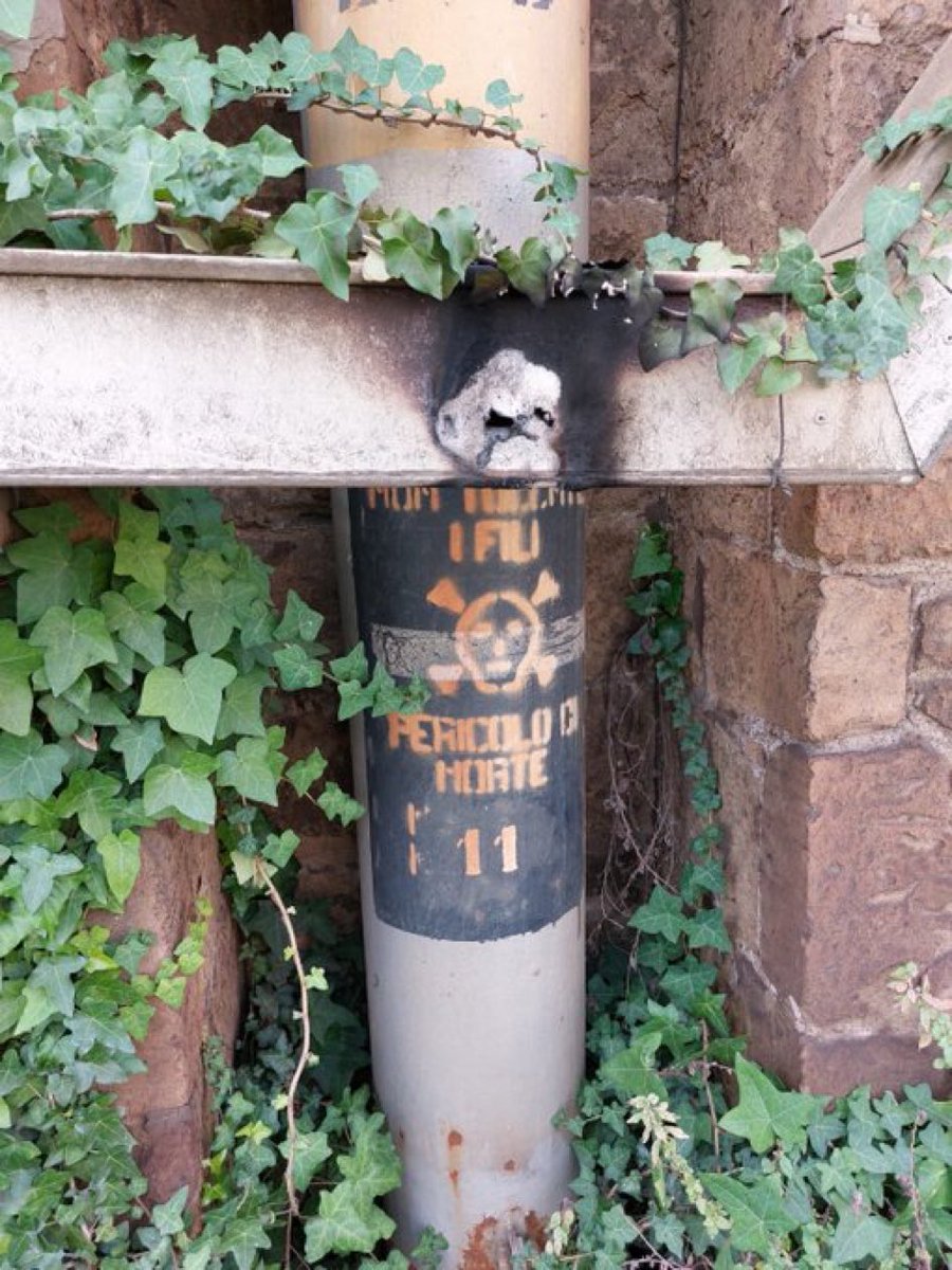 PiramideRossa's tweet image. Quando si svolgerà il #funerale del povero #operaio rimasto fulminato per avere conficcato un #chiodo in questa tubatura dell’alta tensione? Sapete se vi parteciperà il ministro #Salvini…ammesso che la circolazione dei #treni sia ripresa, dopo il blocco causato dal chiodo?