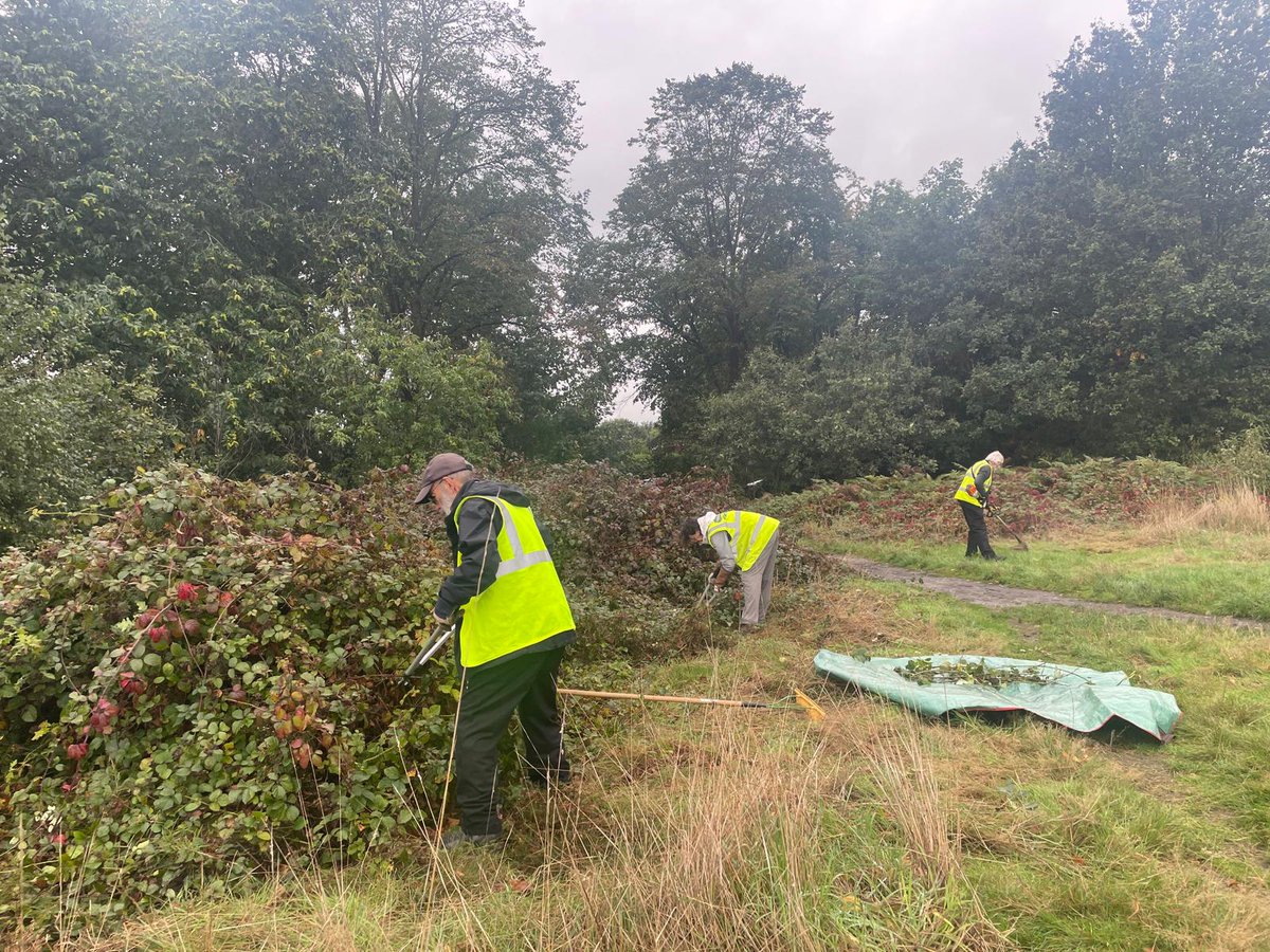 Chislehurst Commons tweet media