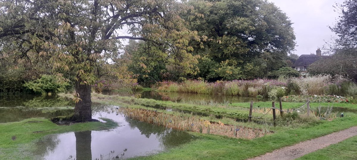 The Manor tweet media