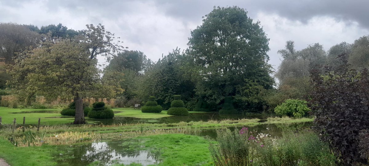 The Manor tweet media