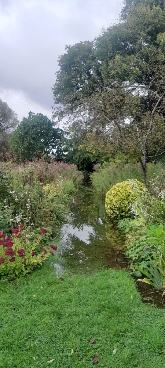 The Manor tweet media