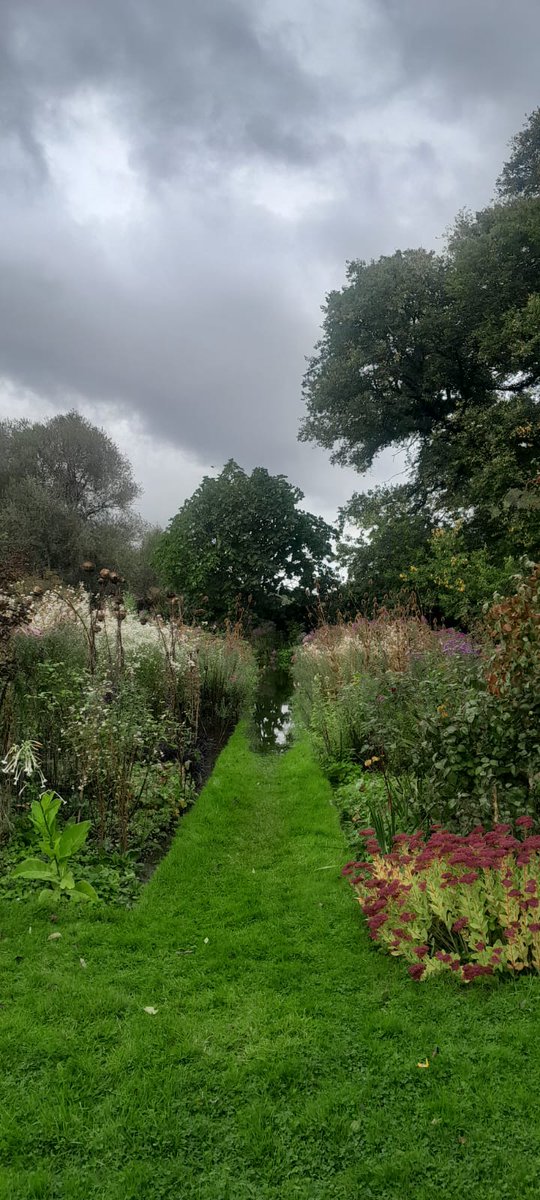 The Manor tweet media