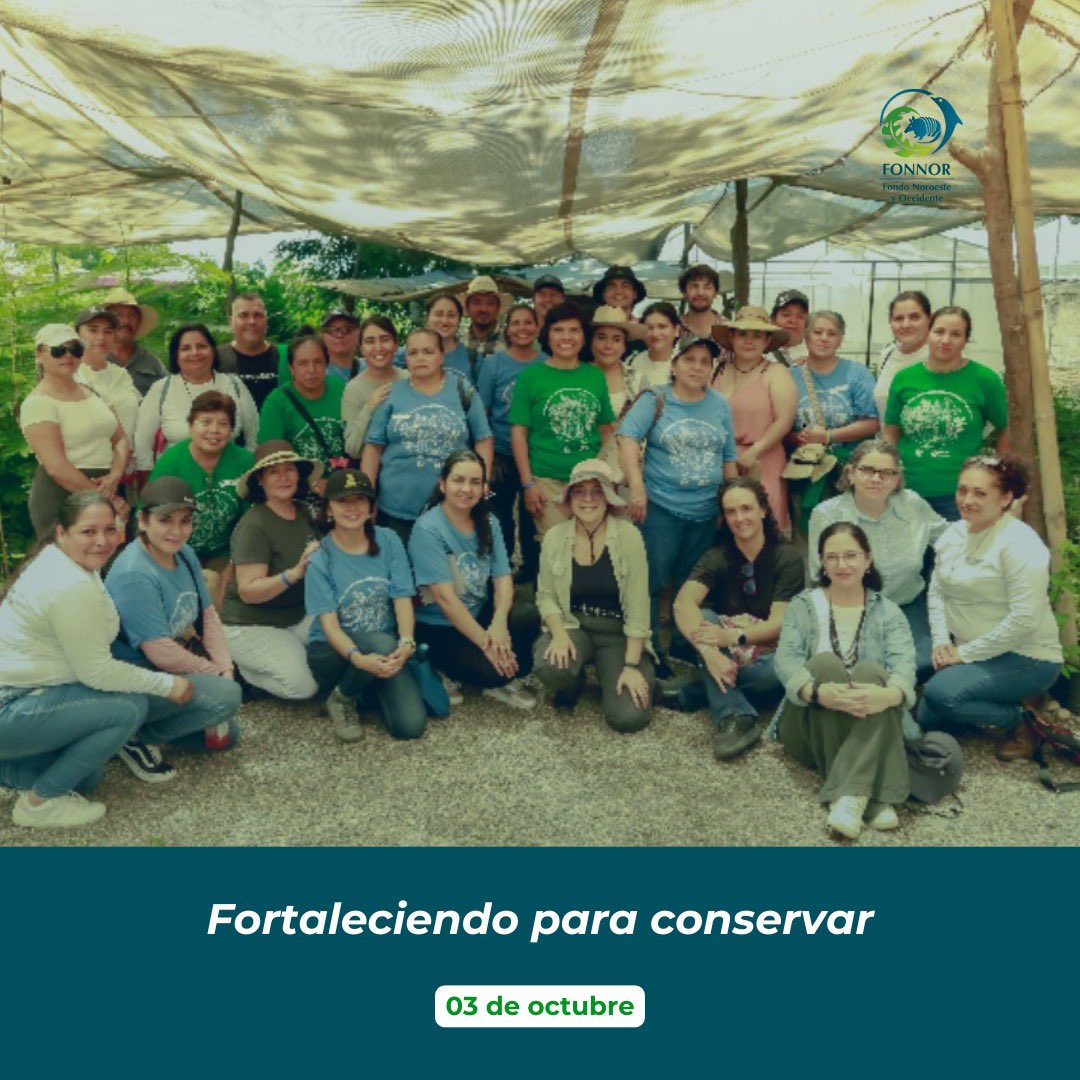 FONNOR A.C. tweet media