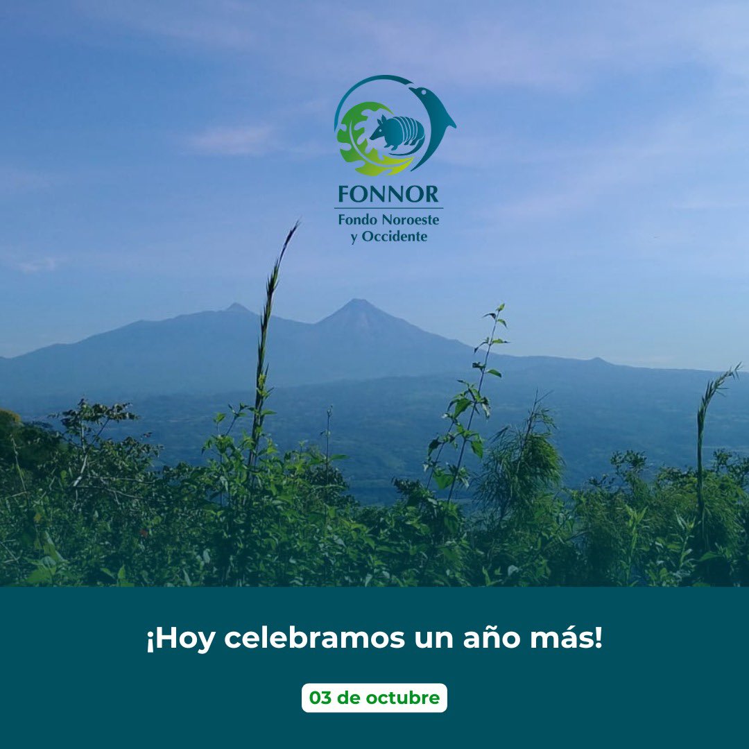 FONNOR A.C. tweet media