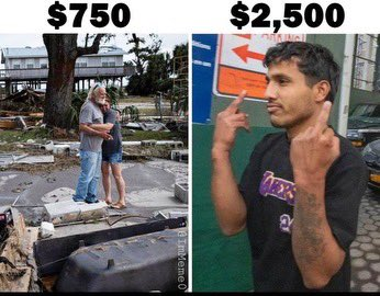 Luna (@luna5lu) on Twitter photo 