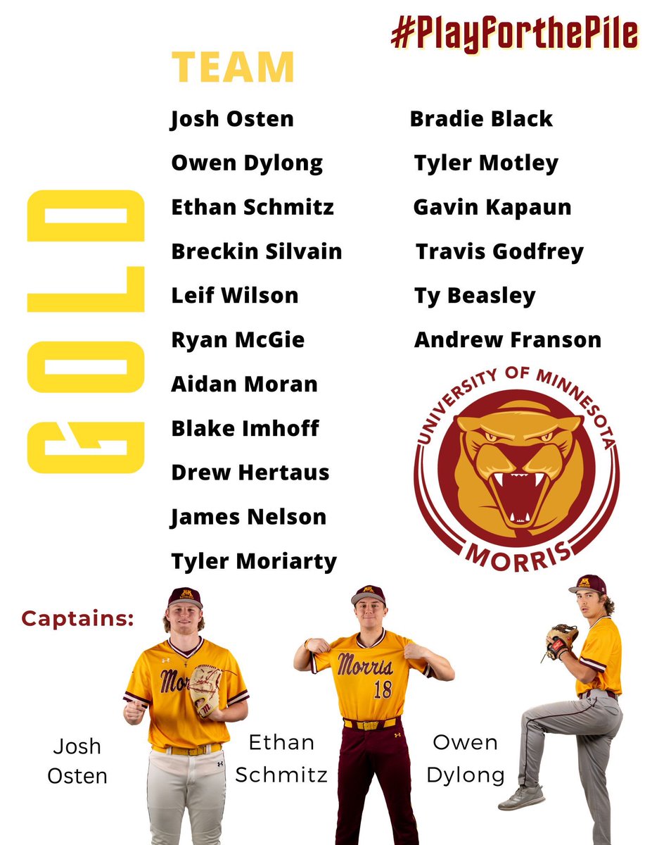 Maroon and Gold World Series starts Friday ⚾️ !!!

#PlayforthePile