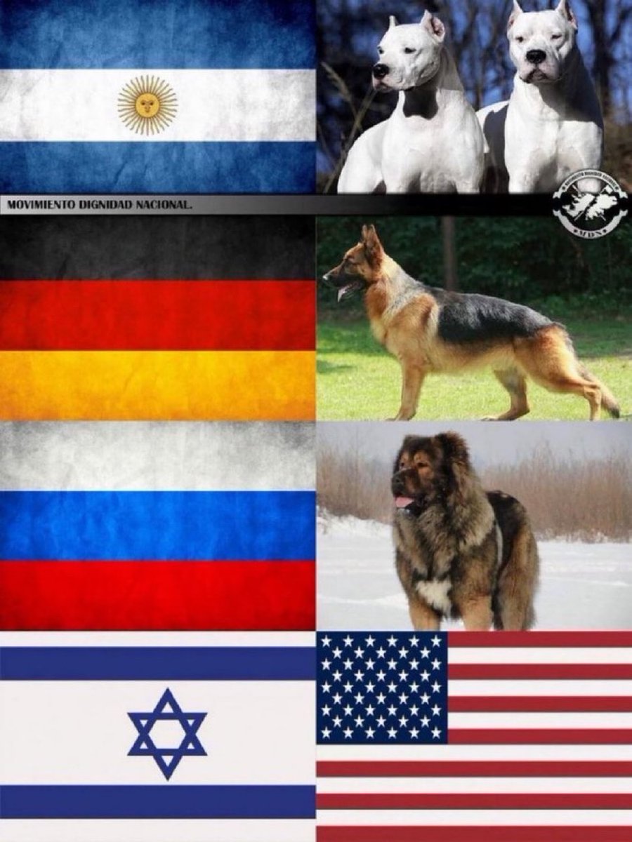 Different countries with their dogs: