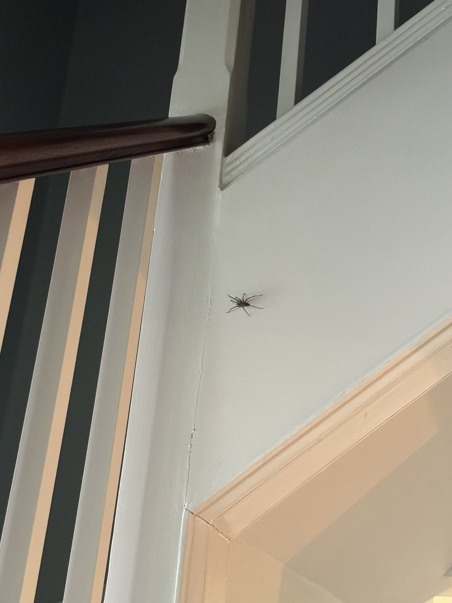 J.K. Rowling tweet media