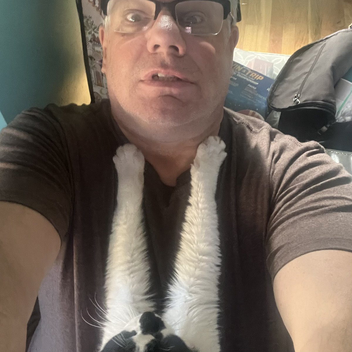 Darryl Asher (Citizen61)🟦 tweet media