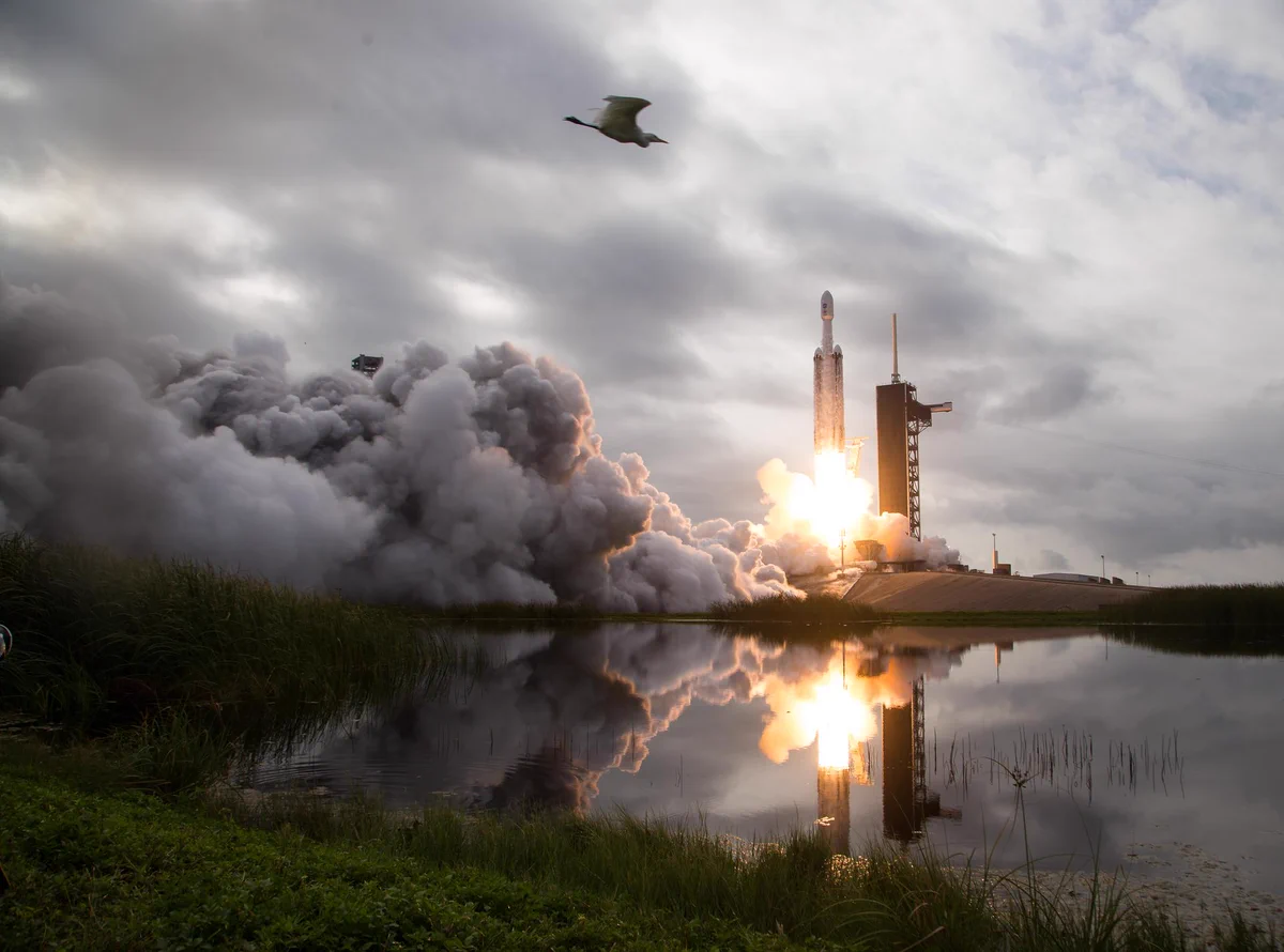 A photo of the Psyche mission launch shows a rocket riding a pillar of flame up into a cloudy sky, spewing billowing clouds of steam. In the foreground, the launch is reflected in a glassy-smooth body of water. A sea bird flies overhead.