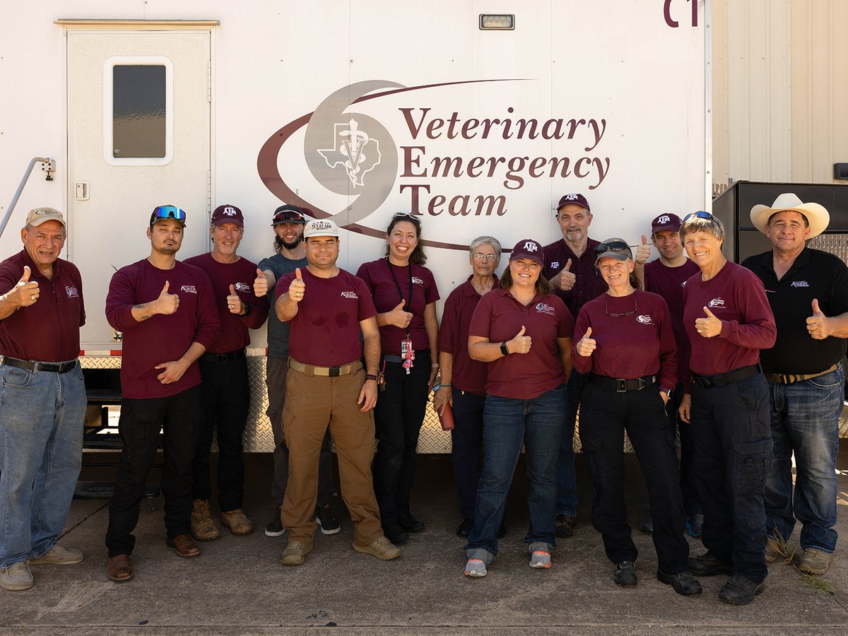 tamuvetmed's tweet photo. The Texas A&amp;M Veterinary Emergency Team was deployed on Oct. 2 in response to Hurricane Helene as search efforts continue. The VET members will play a vital role in supporting search and rescue dogs. #TAMUVetMed

Learn more: https://t.co/v3kxxGblNQ https://t.co/MVmSbnbfKC