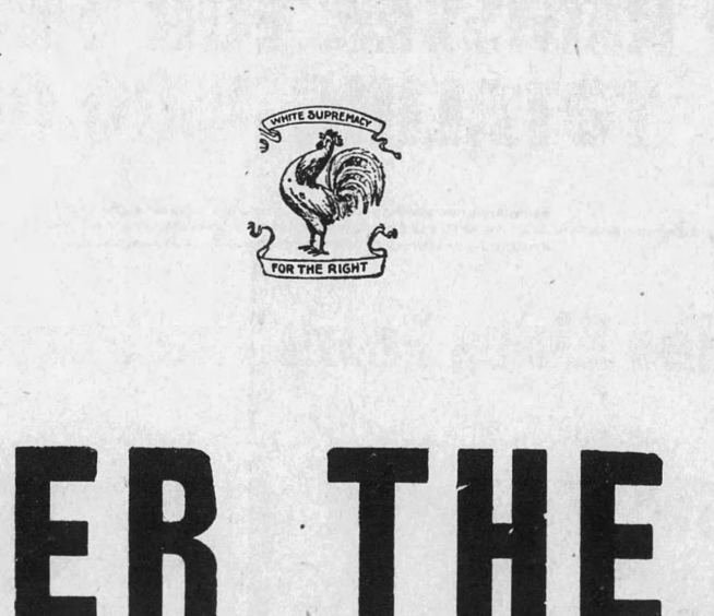 Daniel Shuster tweet media