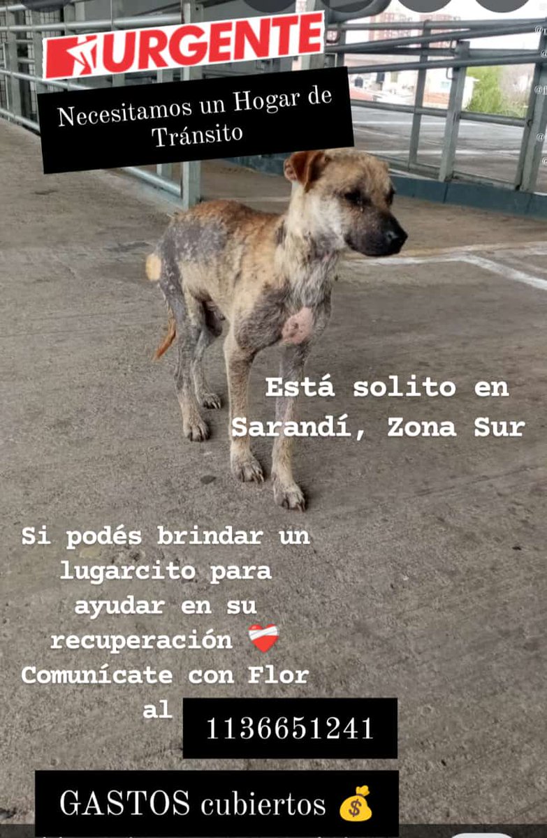 @Tabyta52/20🇦🇷🇪🇦🇺🇦🇮🇱💙💙💙 tweet media