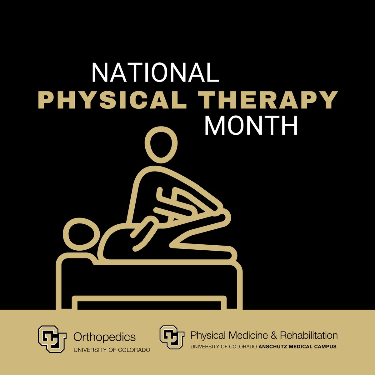 Happy National Physical Therapy Month!

CU Orthopedics is proud to partner with the Department of Physical Medicine &amp; Rehabilitation to provide top-notch care that keeps our patients moving. Huge thanks to our incredible physical therapists for all you do!  #PTMonth