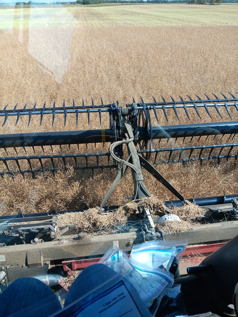 Robyn Gerrard tweet media