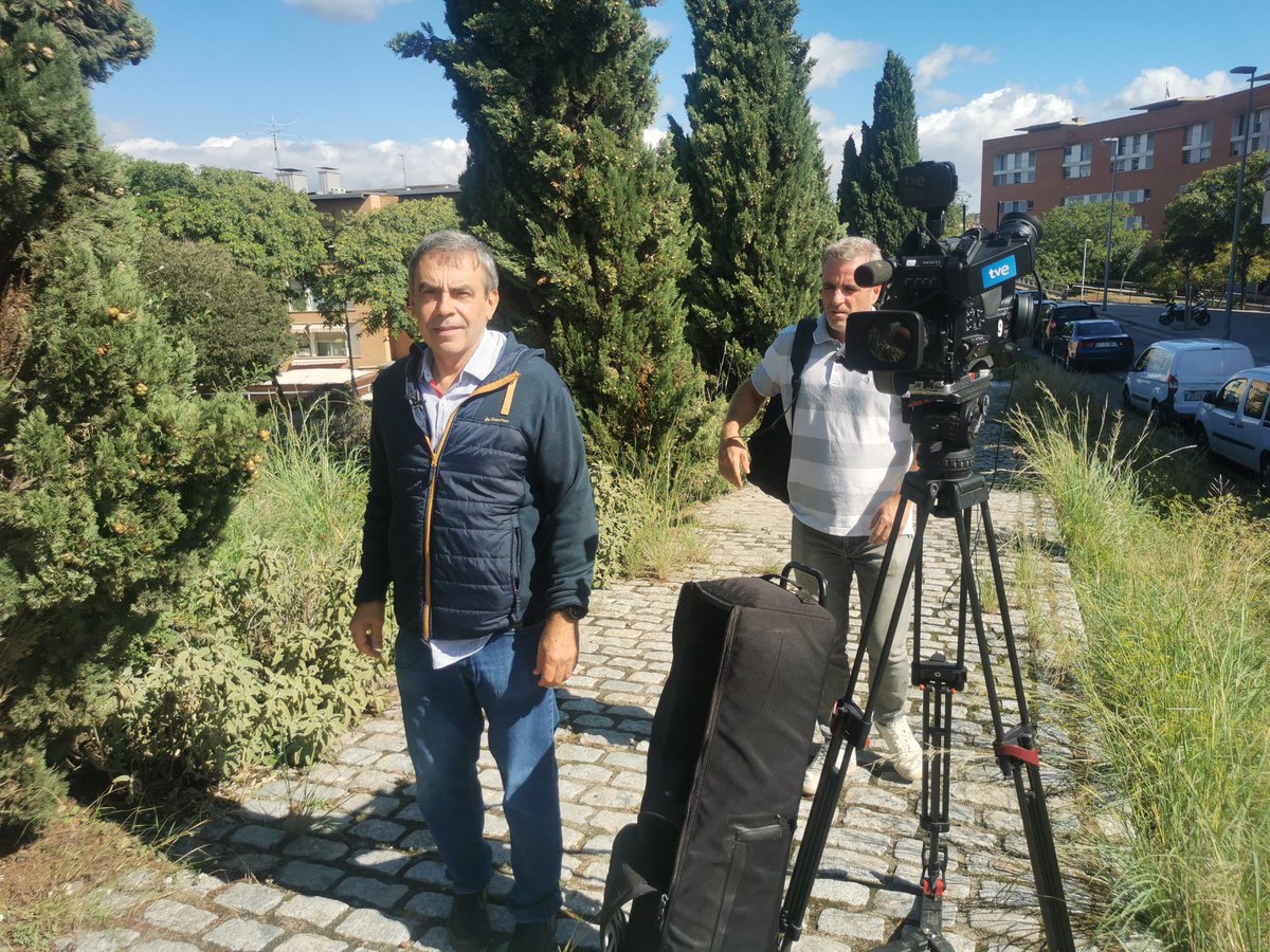 francesc alfambra tweet media