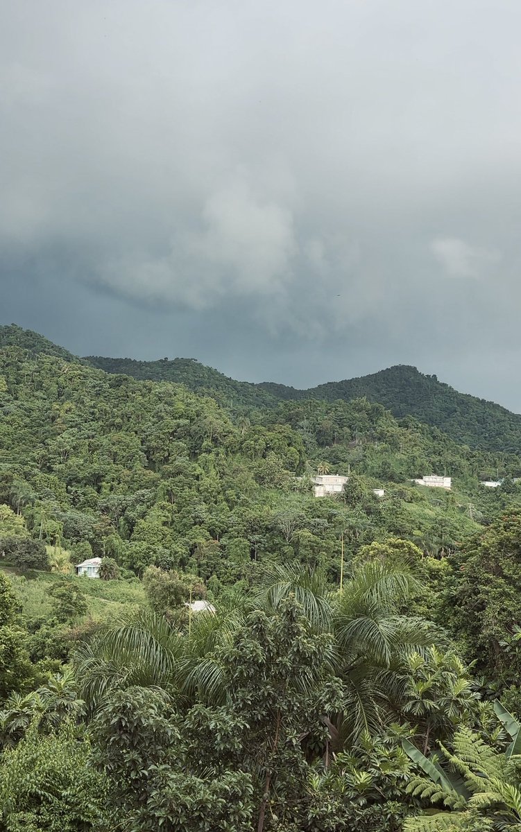 Do people still buy NFTs?

How about NFTs that have a physical component to them? Say a 3 night stay in paradise in Puerto Rico? 

That’s exactly what we did when we designed Casita de Cruz. Months of renovations leading up to this tranquil slice of heaven. 

I’ll attach the full