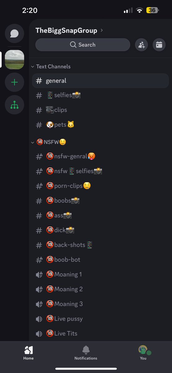 BiggSnapGroup's tweet photo. Join the discord more gets added every second 
https://t.co/oYb6eK2b30 https://t.co/64iQ7maODD