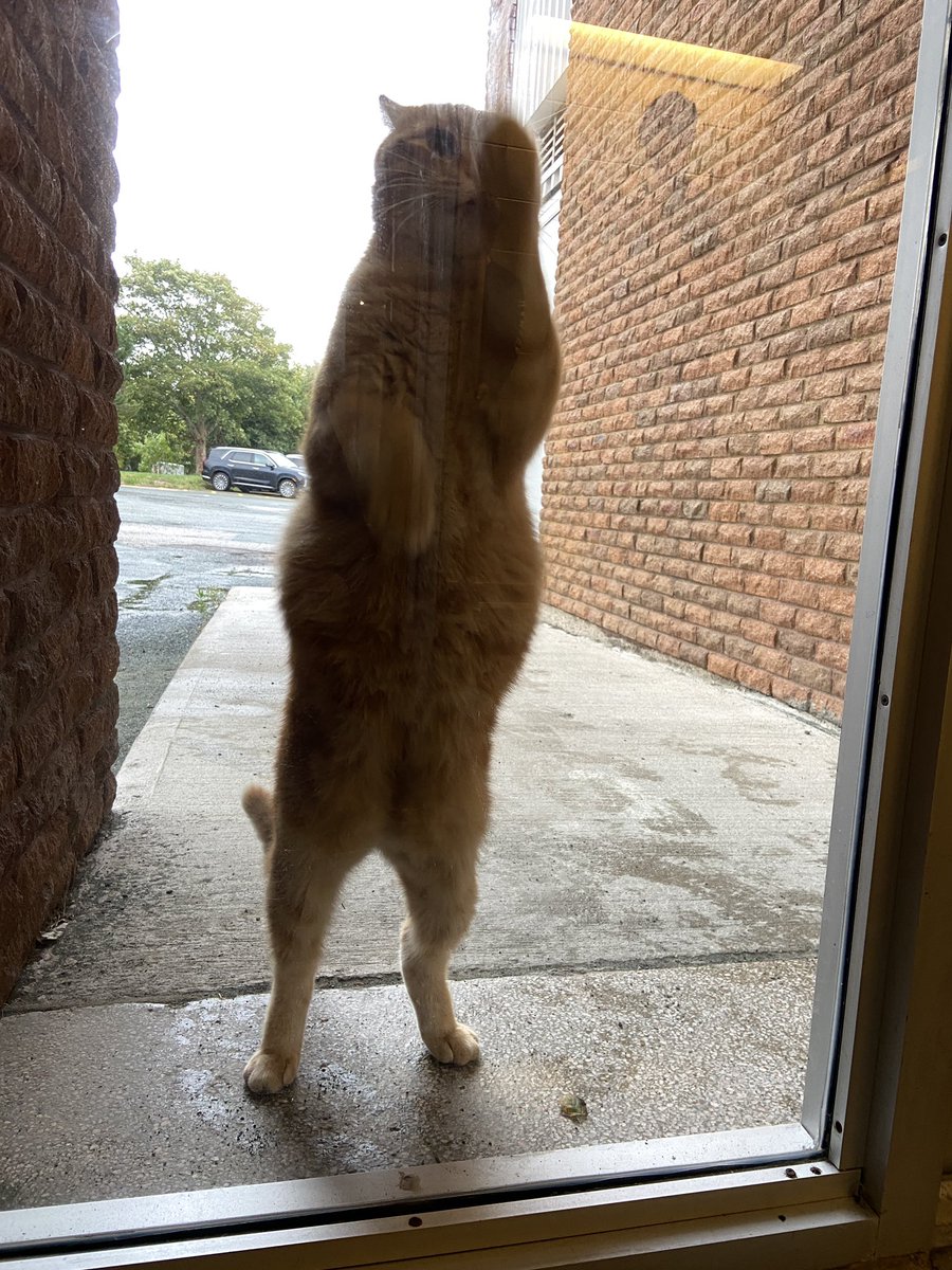 Vanier Elementary tweet media