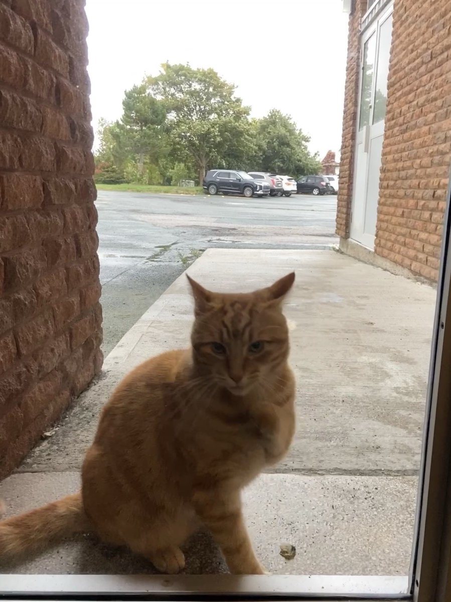 Vanier Elementary tweet media