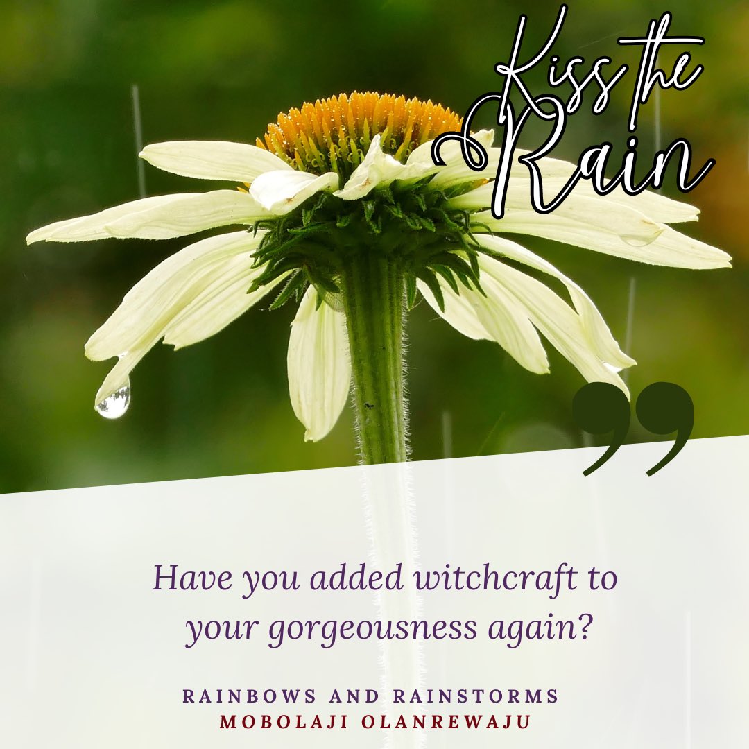AdesuwaNwokedi's tweet photo. 14 Love Stories
14 Authors
1 Anthology
Kiss the Rain Anthology…coming in November ❤️☔️
#KTR #KissTheRain #NIRA #NigerianIndieRomanceAuthors #NIRANovember https://t.co/XuJ6uxk24P